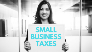 Small Business Taxes